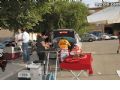 Concurso canino - 13 Concurso canino - 13